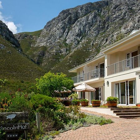 Francolinhof Guest House Hermanus Kültér fotó